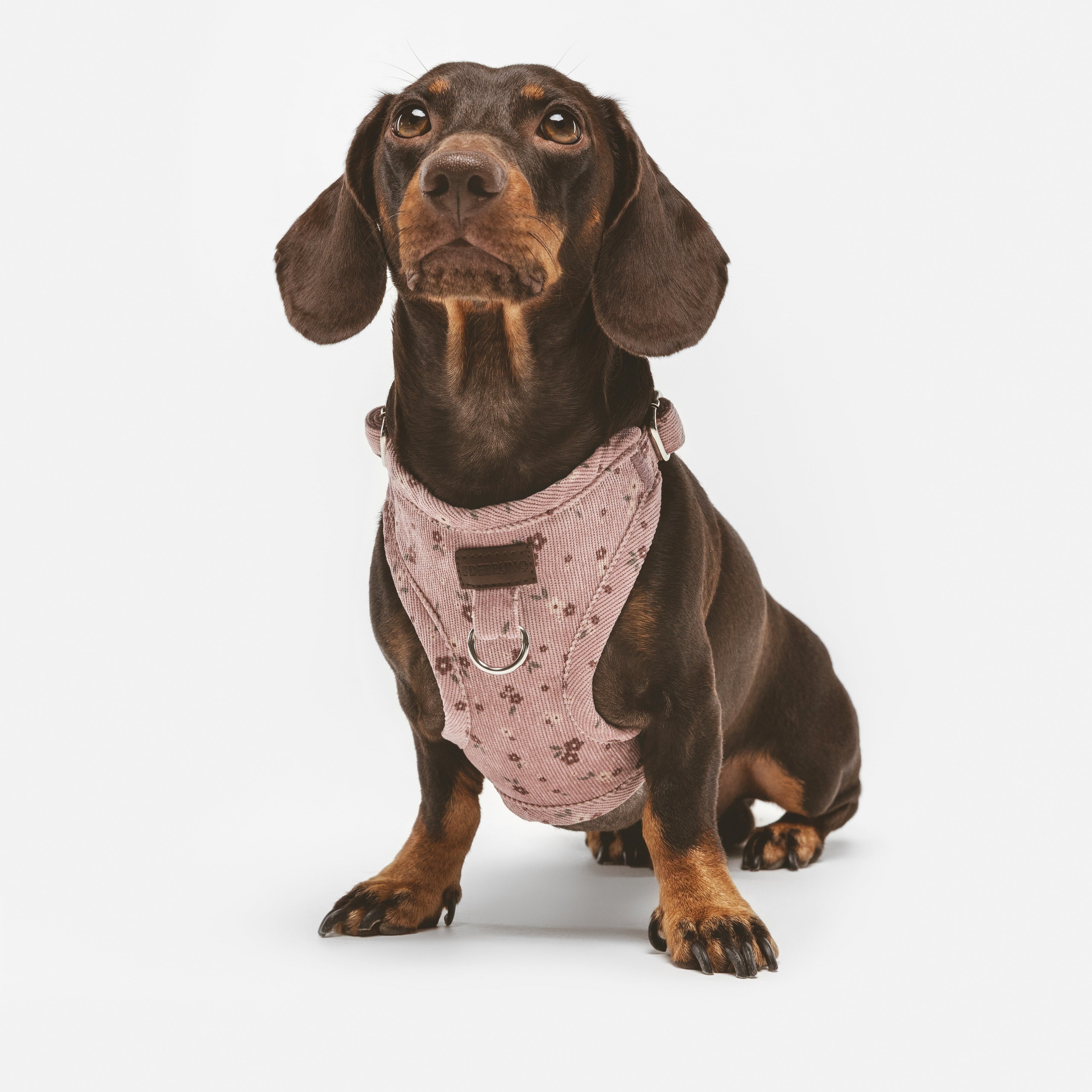 Arnés Chest Mauve