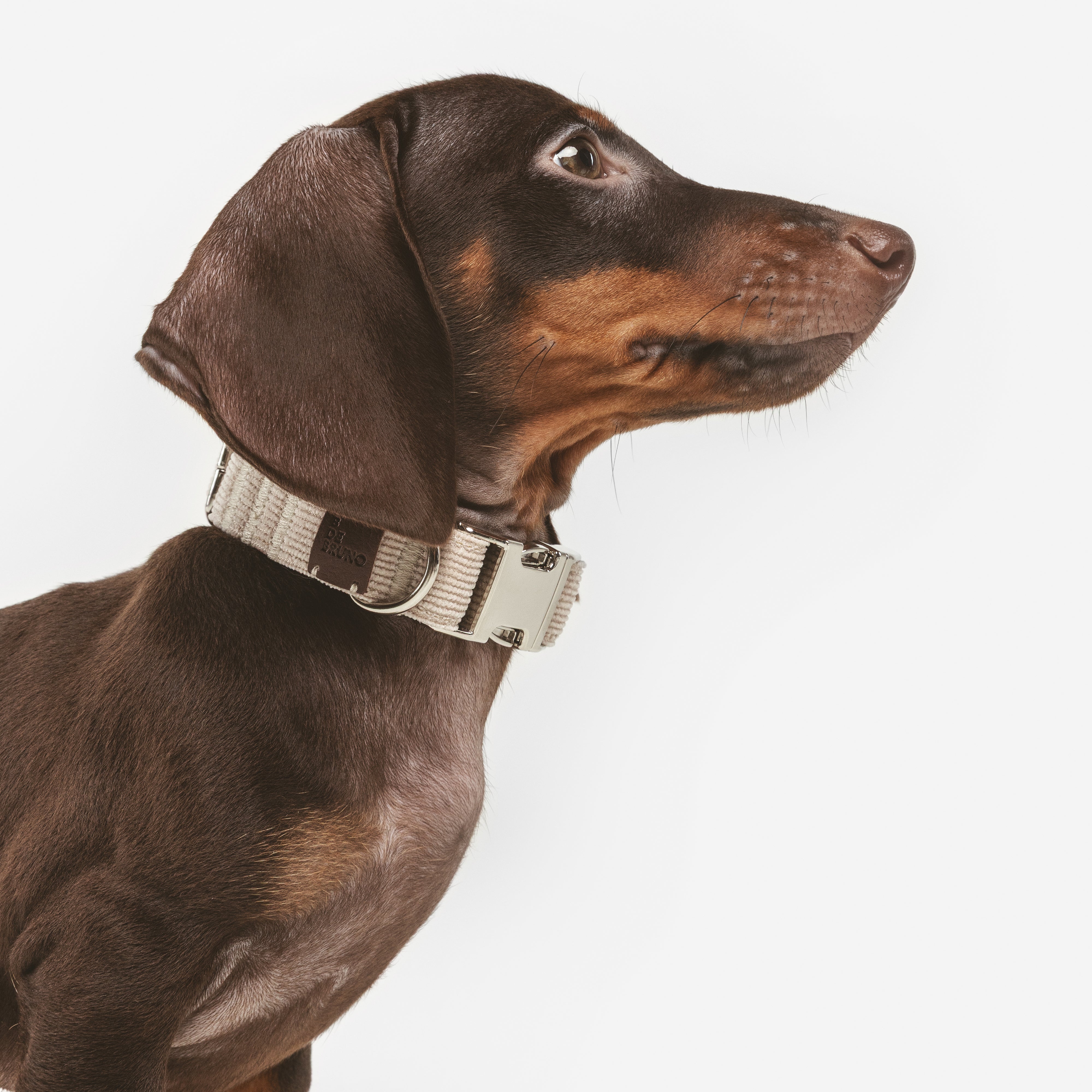 Collar Click Sand